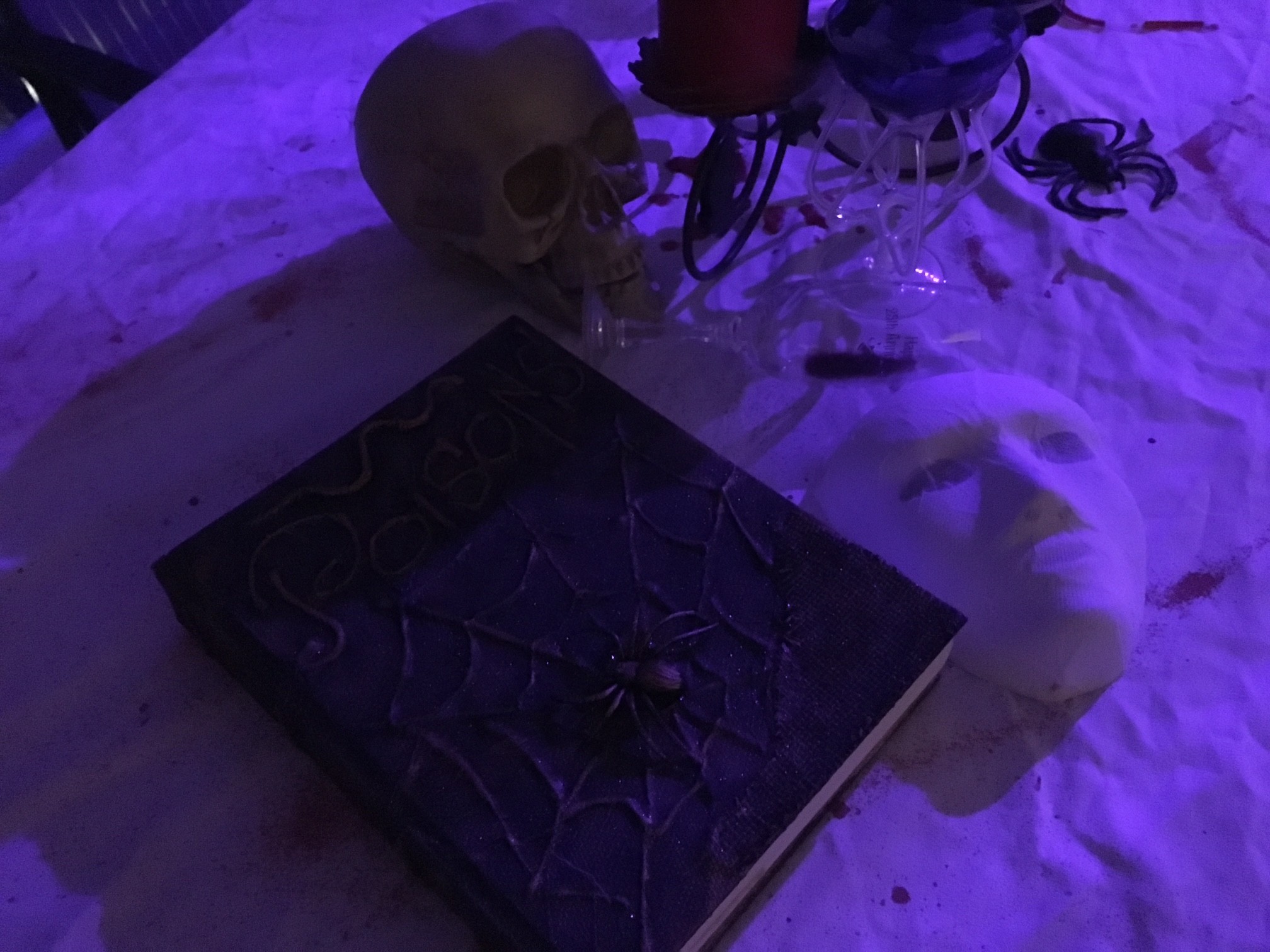 The Witch House at Mark and Lana's 2018 Halloween party